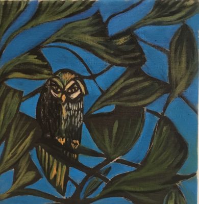 Blue Owl (Civetta)